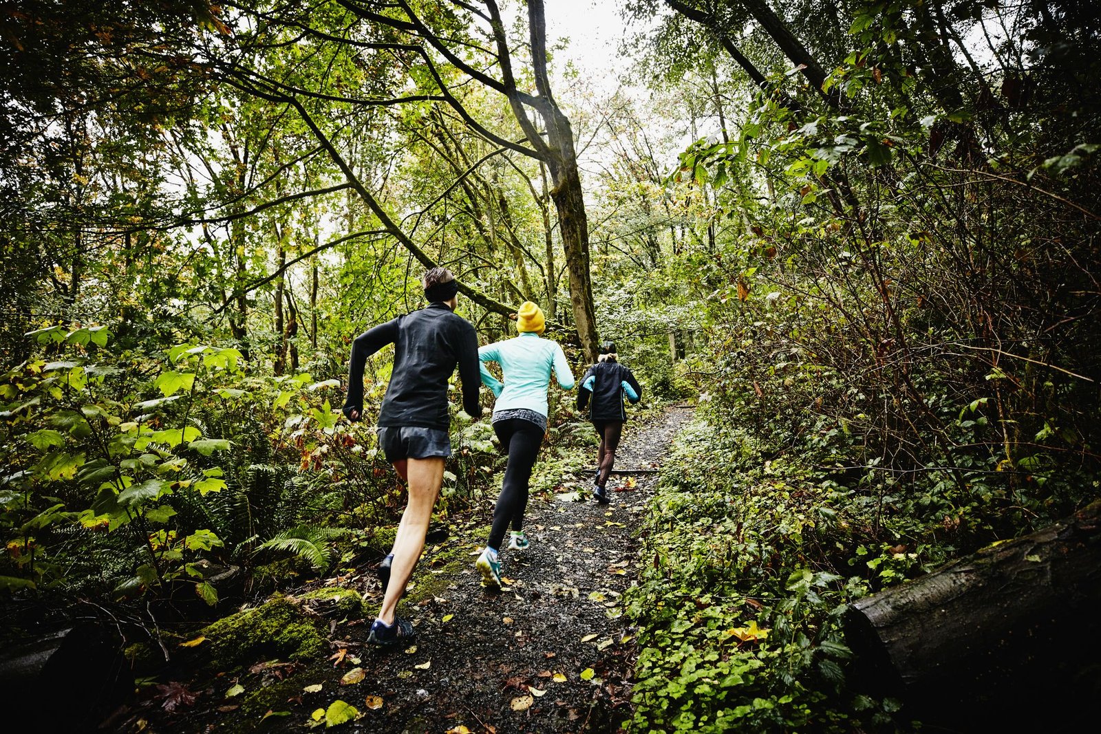 Best Trail Running Tips for Beginners