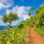 Best Trail Running Trails in the US
