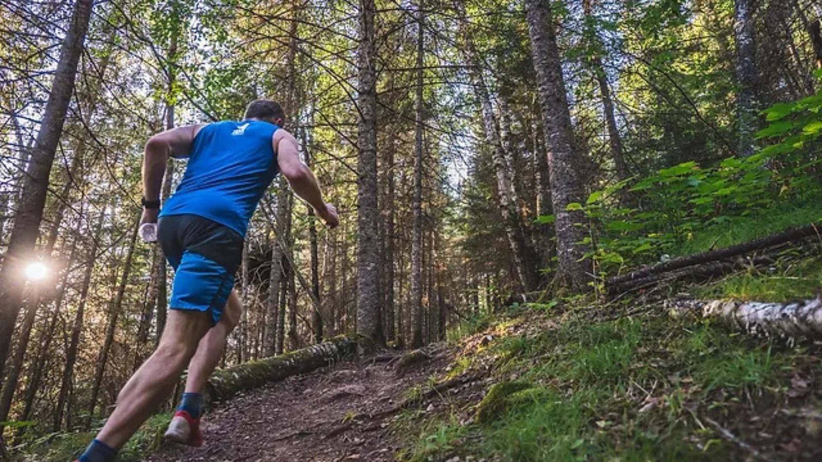 How To Stay Safe Trail Running Outdoors