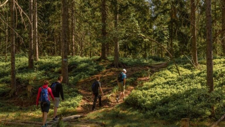 How to Stay Safe from Wildlife on Trails