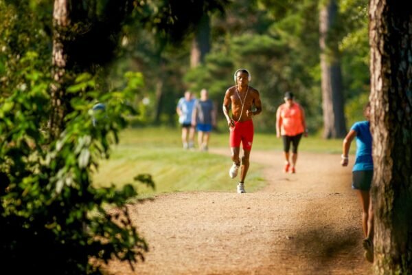 Top Trail Running Routes Near Me Now.